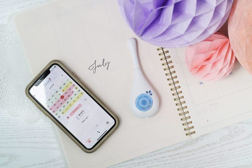 Daysy im Test 2026: Meine ehrlichen Erfahrungen & Fazit