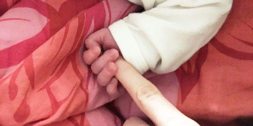 Trackle Catch im Test: Mein Erfahrungsbericht & Fazit